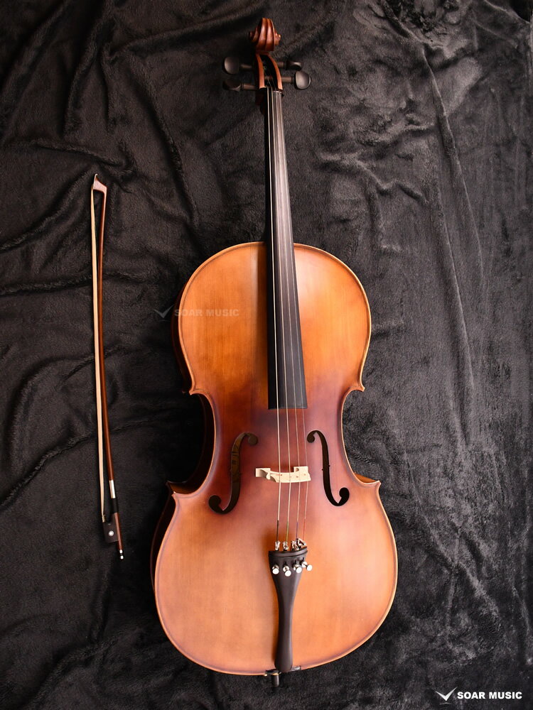 楽天市場】ハルシュタットチェロの通販