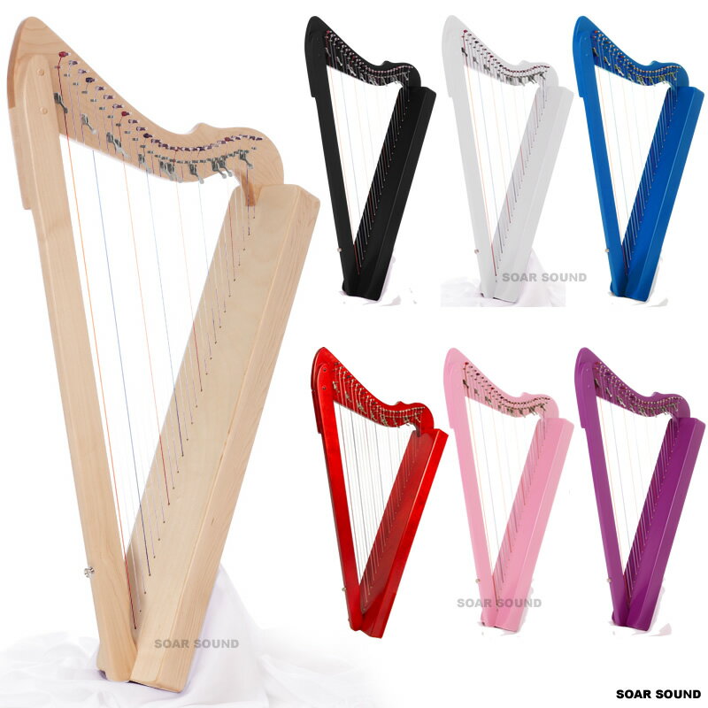 Flatsicle Harp フラットシクル ハープ お手頃な ハープ 初心者 の方 入門用 にも！ 竪琴 琴