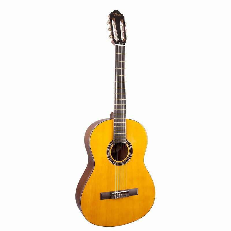 VALENCIA ヴァレンシア クラシックギター CLASSIC GUITAR (H) VC204H NAT ナチュラ...