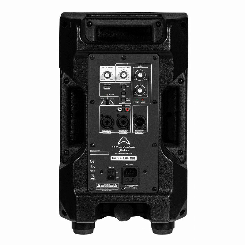 SOAR SOUNDの（簡単セッティング） 有線マイク2本 + スピーカーセット 250W 大音量 Bluetooth 対応 Wharfedale Pro ワーフデールプロ 整理番号 TRAX8MB-2WDM｜アングル2