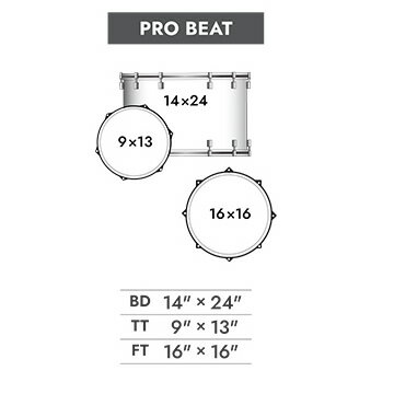 Ludwig ラディック ドラムセット CLASSIC MAPLE クラシックメイプル シリーズ シェルパック PRO BEAT L84433AX_WC ドラム