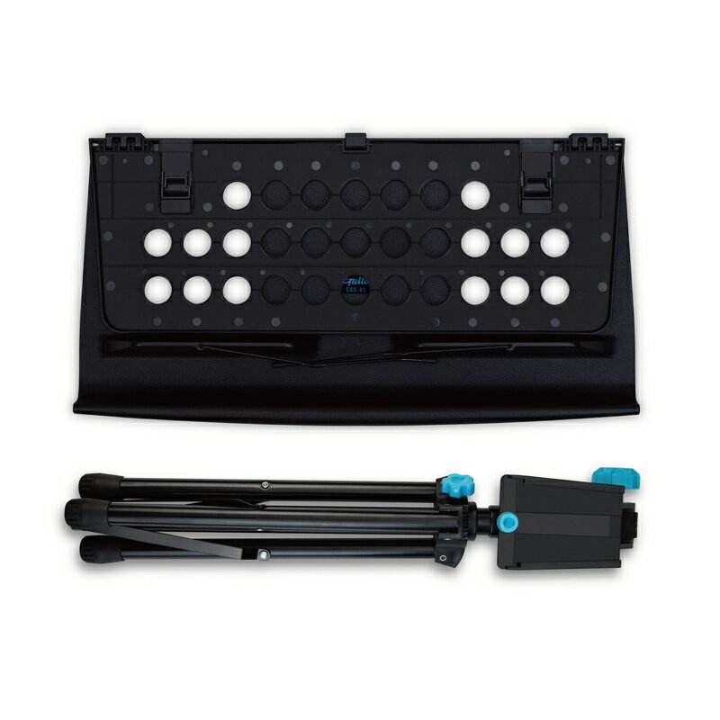 Guitto GSS-01B Guitto ������