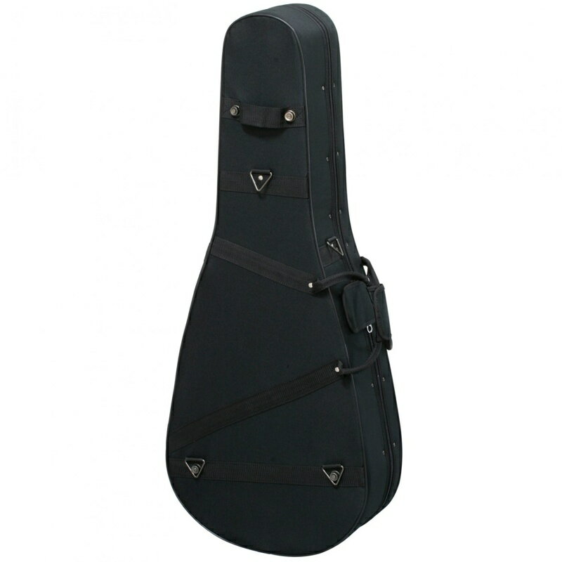 STENTOR SCC-100 STENTOR ギターケース 2