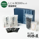 御中元 出雲そば そば ギフト 蕎麦 ギフト 食べ物 プレゼント セット 【しじみMサイズ300gセット】【送料無料 つゆ付 2人前 クール便 冷凍 しじみ 羽...