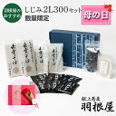 出雲そば 母の日 ギフト 食べ物 母の日 食べ物 プレゼント セット 【しじみ2Lサイズ300gセット】送料無料 しじみ つゆ付き 6人前 クール便 冷凍 献上 羽根屋 割子そば 出雲蕎麦 はねや 贈り物 贈答 御祝 御供 日本三大そば 御祝 御礼 引っ越し 引っ越しそば