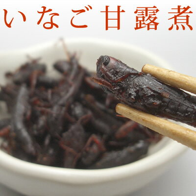 原田商店 花九曜印 いなご甘露煮 佃煮 45g 甘露煮 バレンタイン ギフト 合格祝 ひなまつり ホワイトデー 引越しそば お彼岸 プレゼント