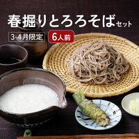 3・4月限定！春掘り長いもで楽しむ信州とろろそば♪送料無料で...