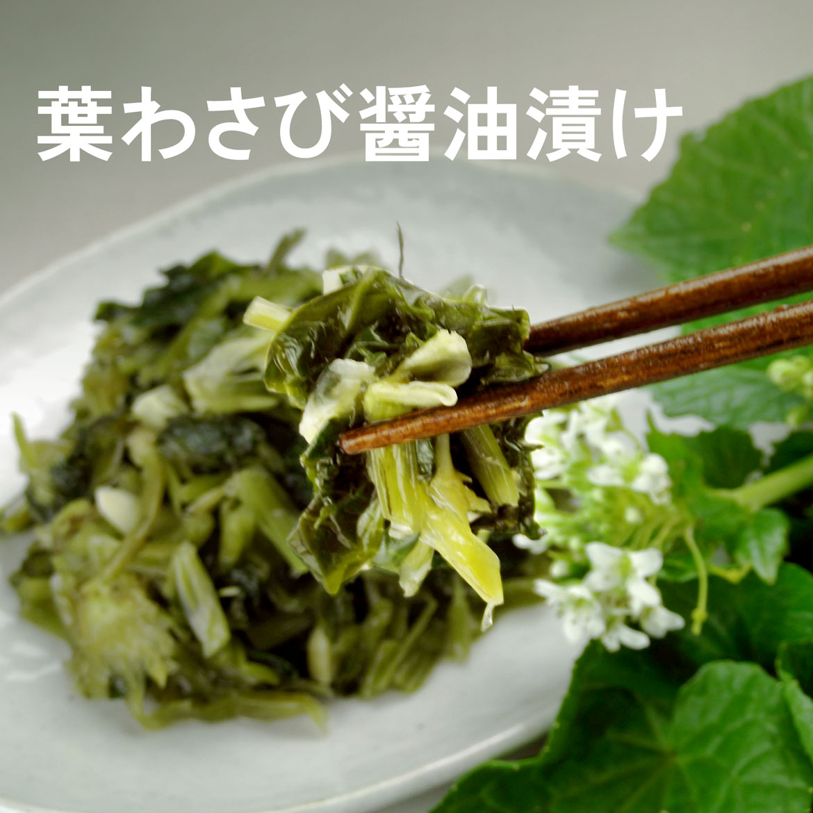 本等山葵商店 葉わさび醤油漬け 信州 安曇野 200g お歳暮 ギフト プレゼント 食べ物 内祝