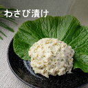 本等山葵商店 わさび漬け 信州 安曇野 120g 粕漬 父の日 ギフト プレゼント 内祝