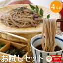 【期間限定・お試しセット】 信州の生そば 特製そばつゆ付 4人前 ※わさびは付属しません※ 蕎麦 そば ソバ 信州そば 生そば 生蕎麦 食べ物