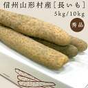 お歳暮 ギフト 送料無料 山形村産 長いも 信州 長野県 5kg / 10kg 丸々と育った大ぶりの長いも 贈答用 お取り寄せ