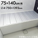 抗菌 AG 折りたたみ 風呂ふた L14 【日本製 Ag 銀イオン 風呂フタ L14 (商品サイズ750×1392mm) 東プレ ケイマック】