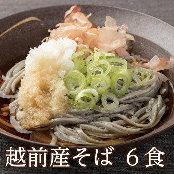 そば 贈り物 お返し 福井県産そば粉使用！「越前産そば6食」日本ギフト大賞受賞♪　年間48,758食完売！甘みが断然違う当店でしか味わえない極上蕎麦！あす楽 越前そば ギフト 内祝い ご挨拶 武生製麺