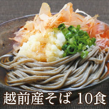 贈り物 お返し 福井県産そば粉使用！「越前産そば10食」年間