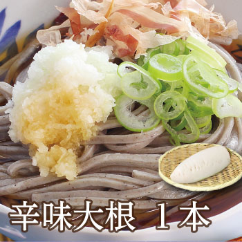 ピリっと辛い「辛味大根」【おろしそば】【具材】【おろし蕎麦】