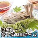 季節限定 「涼麺そばセット」越前そば 送料込み夏ギフト 御中元 残暑見舞 暑中見舞 食べ比べ お中元
