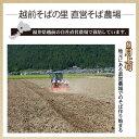 贈り物 お返し 福井県産そば粉使用！「越前産そば6食」日本ギフト大賞受賞♪　年間48,758食完売！甘みが断然違う当店でしか味わえない極上蕎麦！あす楽 越前そば ギフト 内祝い ご挨拶 武生製麺