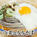 「山菜とろろそば」 山と畑の恵みと共に越前そばを!越前そば そば 蕎麦 武生製麺 とろろ 山菜 ギフト