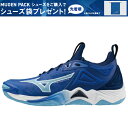 y\z6ח\ q{\pJ[ J[ mizuno ~Ym o[{[V[Y WAVE MOMENTUM3 EG[u[^3 V1GA231201 u[~zCg~lCr[ NbV ̈ CV[Y 24SS IsbN