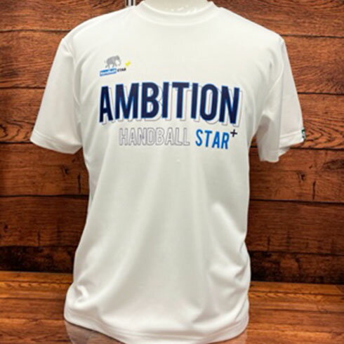 ambition アンビション ソブエオリジナル ハンドボール プラクティスシャツ プラシャツ 半袖 Tシャツ ホワイト トレーニング 練習 ウェア AB23DT05-WHT