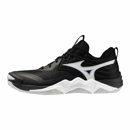 ミズノ (MIZUNO) バレーボールシューズ ウエーブモーメンタム エリート ユニセックス (25aw) ブラック 23.5-28.0cm 2E V1GA251254