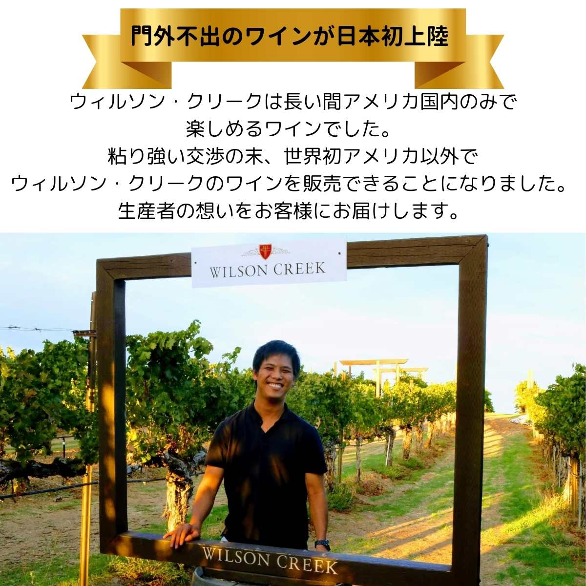 ��ι������Ǽ��夲��줿�磻�󡪡� �����륽�󥯥꡼�� �� �� ���ꥹ�ޥ� �磻�󥻥å� ����ե���˥� ����ե���ǥ� ���٥�ͥ��������˥�� �磻�� ����� ����� �磻�󥮥ե� �֥磻�� ��磻�� �磻�󥻥å� ����ե���˥��磻�� �ߥå������å� wine ����ꥫ��