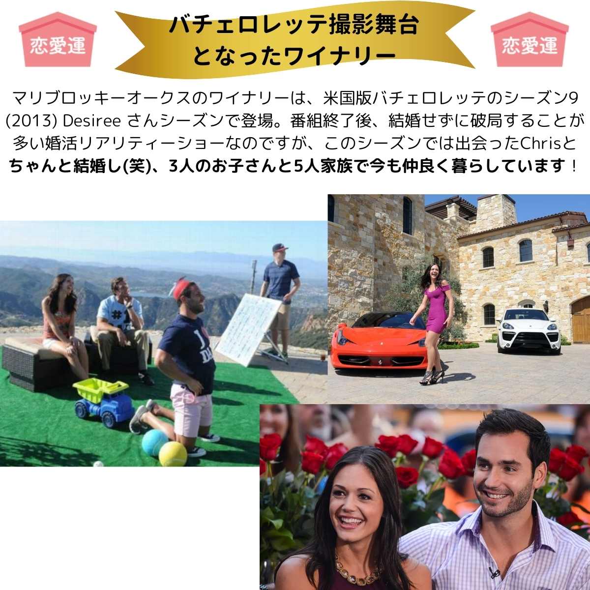 【恋愛運アップ？のワイン】 ワイン ロゼワイン 高級 スパークリング ロゼ 2017 Malibu Rocky Oaks シャンパーニュ カリフォルニア マリブ グルナッシュ シラー 自然派 辛口 ギフト プレゼント クリスマス 結婚祝い クリスマスギフト デート 恋愛 ギフトワイン 1本 母の日 socalization-10000004 ワインとクラフト酒屋SOCALIZATION サンプル画像3