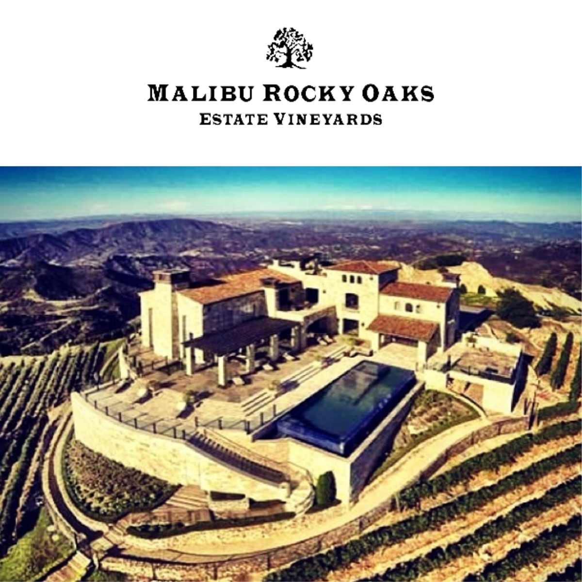 【今年の恋愛運アップ？のワイン】 ワイン ロゼワイン Malibu Rocky Oaks グルナッシュ 高級 ロゼ 金賞 自然派 カリフォルニア マリブ 辛口 セレブ ギフト プレゼント おしゃれ クリスマス ピンクワイン 母の日 結婚式 カルフォルニア パーティー 誕生日 socalization-10000003 ワインとクラフト酒屋SOCALIZATION サンプル画像3