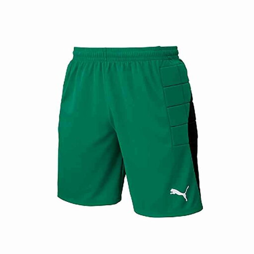 プーマ PMJ-729967-02 02 LIGA GK パンツ パッドツキ (02)ペッパー グリーン メンズ・ユニセックス プーマ PMJ-729967-02 02 LIGA GK パンツ パッドツキ (02)ペッパー グリーン メンズ・ユニセックス