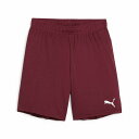 プーマ PMJ-706376-09 09 teamGOAL ゲームショーツ Jr (09)Team Regal Red-PUMA White メンズ・ユニセックス