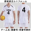 Tシャツ バレーボールジャンキー アタックナンバーわん！ロング Dry TEE VJ19514 volleyball Junky -メール便01-