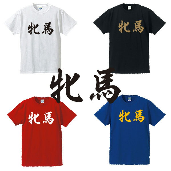 牝馬■競馬Tシャツ■面白Tシャツ■綿100％■サイズ S〜4L■ホワイト/ブラック/レッド/ブルー■面白いTシャツ■..