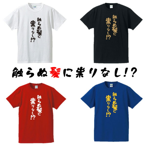 Rakuten - ■触らぬ髪に祟りなし半袖Tシャツ■面白Tシャツ■綿100％■90cm〜4L■ホワイト/ブラック/レッド/ブルー■面白いTシャツ■おもしろTシャツ■大きいサイズ■半袖■さわらぬ神に祟りなし