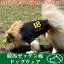 【名入れ犬の服】競馬ゼッケン風ドッグウェア■サイズXS-3L■愛犬のお名前番号入りtシャツ■日本製ドッグウェア■全7色■ペットウェア/いぬ用/ワンちゃん/犬の服/散歩/応援/犬服【オリジナルドッグウェア】【柿沼無地】グランアレグリア 2,530円