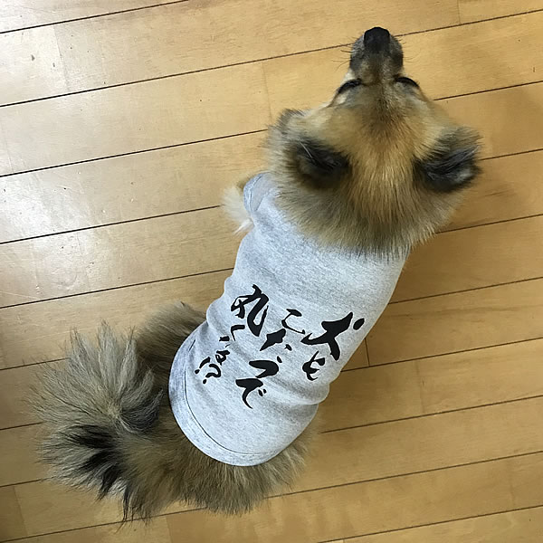 【大寸】■『犬もこたつで丸くなる』Tシャツ■日本製ドッグウェア■ペットウェア/大型犬用品/dogwear/いぬ用/ワンちゃん用/かわいい犬の洋服/紫外線/暑さ/夏用/夏服/犬の服/インスタ映え【オリジナルドッグウェア】【柿沼無地】