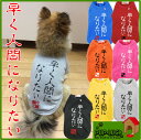 ■早く人間になりたい　Tシャツ■日本製ドッグウェア■ペットウェア/ドッグウエア/dogwear/いぬ用/ワンちゃん用/かわいい犬の洋服/紫外線/犬の服/妖怪人間ベム【オリジナルドッグウェア】【柿沼無地】