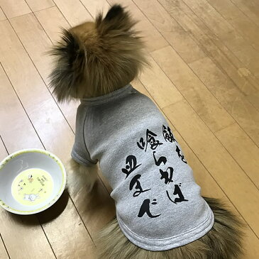 【大寸】■飯を喰らわば皿まで！？■毒を食らわば皿まで、ことわざ、諺Tシャツ■日本製ドッグウェア■ペットウェア/大型犬用品/dogwear/いぬ用/ワンちゃん用/かわいい犬の洋服/紫外線/暑さ/夏用/夏服/犬の服【オリジナルドッグウェア】【柿沼無地】