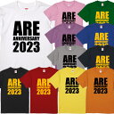 ■ARE ANNIVERSARY 2023■綿100％■サイズ 90cm〜4L■半袖■お祝いTシャツ■オリジナル シャツ おしゃれ かっこいい ギフト 誕生日 人気 プレゼント ラッピング 阪神 タイガース 岡田監督 are リーグ優勝 野球 セリーグ制覇 日本一 大阪 甲子園 Tigers あれ アレ