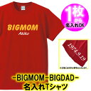 【名入れ】BIGMOM BIGDAD 半袖 Tシャツ■サイズ 90cm-4L■オリジナル シャツ おしゃれ かっこいい ギフト 誕生日 出産祝い 父の日 母の日 人気 還暦 敬老の日 新庄剛志 日本ハム ファイターズ 北海道 ビッグボス ビックボス ビッグマム ビッグダディ 美奈子 林下 清志