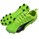プーマ PUMA エヴォパワーVIGO R 2 グリーンゲッコ×ブラック サッカースパイク サッカーシューズ 103955 01