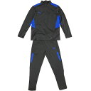 プーマ PUMA ジュニア INDIVIDUALCUP ジャージ 上下セット アスファルト サッカー フットサル トレーニングウエア 657796 44 657...