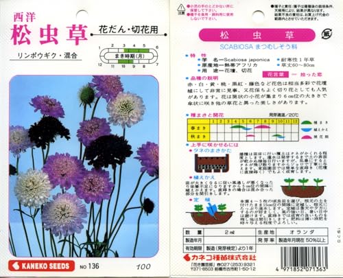 カネコ種苗 園芸・種 KS100シリーズ 西洋松虫草 リンボウギク・混合 草花100 136
