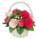 SaikaLife 花 ギフト ソープフラワー 花かご ピンク ×1個 母の日 プレゼント フラワーアレンジメント 造花 フラワーギフト 枯れない 誕生日 お祝い お礼