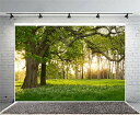 Qinunipoto 背景布 春 大きな木 撮影布 1.5m x 1m 背景紙 撮影 背景 写真 布背景 撮影布 自然の風景 写真背景布 風景写真 屋外の風景 ...