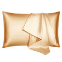 SGMSILK シルク 枕 カバー 22匁 100%天然 6A級 50x70cm ファスナー式 OEKO-TEX認証 片面シルク ピローケース 寝癖軽減 抗菌防...