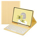 iPad6 iPad5 iPad Air Air2 Pro9.7 キー...(2)