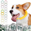 2024パワーアップ 【植物由来材料使用】 クールリング アイス クール リング ペット用 小型犬向け ネッククーラー 首 犬 いぬ 猫 ねこ ネックバンド 暑さ対策 ひんやり PCM ネック用 ネック ク