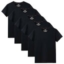 Sukinana インナーシャツ メンズ 肌着 5枚組 綿100% Vネック tシャツ 半袖 防菌防臭 クセになる肌触り 無地 メンズ 服 (L, ブラック)