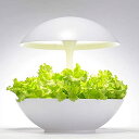 アカリーナ akarina01 Terrara 灯菜 LED水耕栽培器 野菜栽培キット 水耕栽培 インテリア野菜栽培 室内 家庭菜園