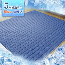 【ひんやり冷感 4大消臭】 ラグ B型シリカゲル ラグマット 5層構造 接触冷感 キルティングラグ 夏用 冷感ラグ 涼しい ひんやり 洗える 冷感キルトラグ ひんやりマット 吸放湿 吸水速乾 滑